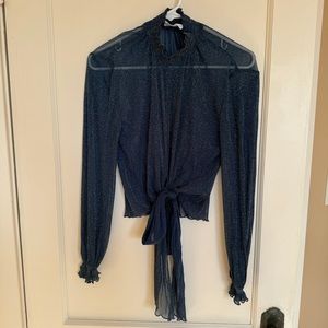 Sheer Shimmery Tie-Front Top